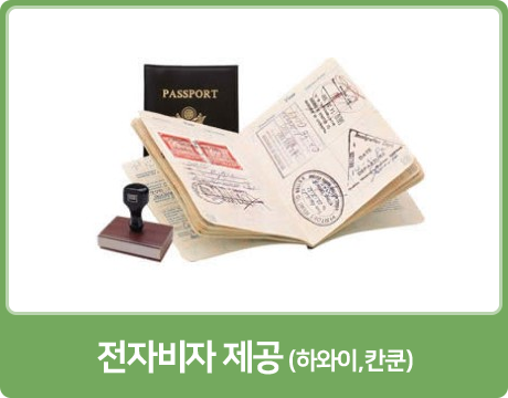 전자비자 제공 (하와이,칸쿤)