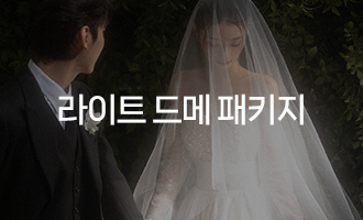 라이트 드메 패키지