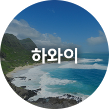 하와이
