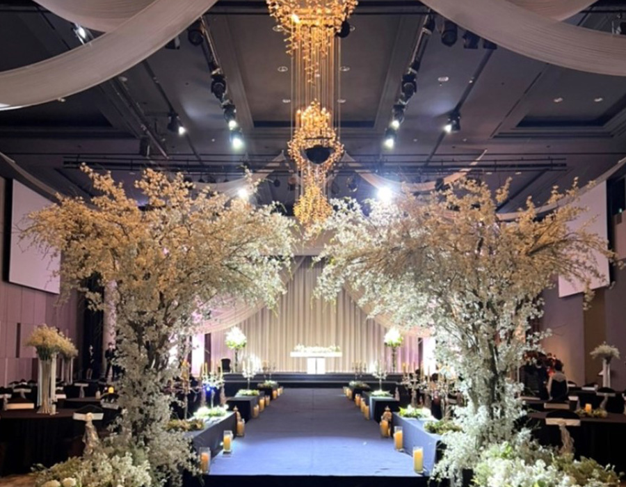 엑스코인터불고